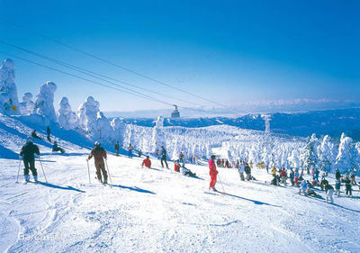 西柏坡滑雪场 国内旅游经营服务的新标杆