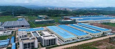 签约28个项目引资381亿，肇庆绿色农副产品集散基地强势崛起，赋能国内旅游服务升级